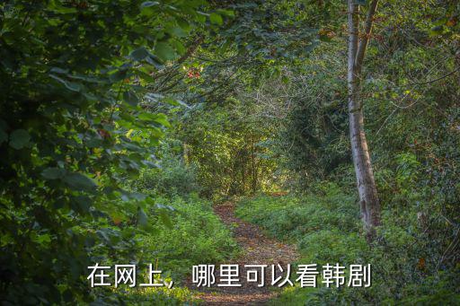 眉山在哪里看韓劇網站,哪里可以看韓劇