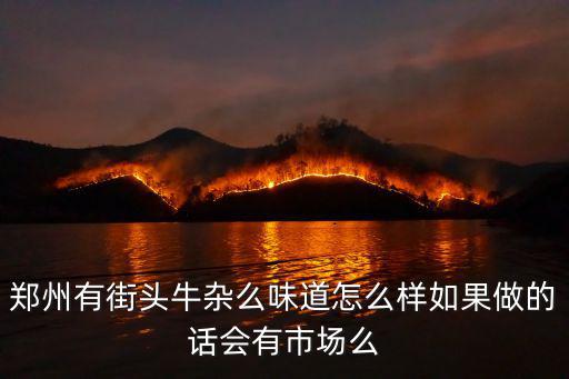 鄭州有街頭牛雜么味道怎么樣如果做的話會有市場么