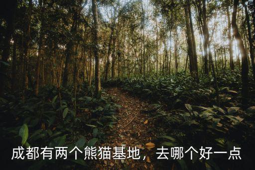 成都熊貓基地哪里最火,成都有兩個熊貓基地