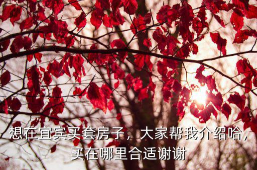 想在宜賓買套房子，大家?guī)臀医榻B哈，買在哪里合適謝謝