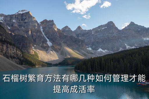巴中哪里有石榴樹苗,石榴樹繁育方法有哪幾種