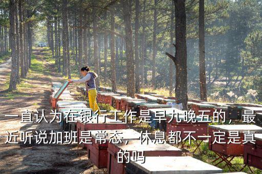一直認為在銀行工作是早九晚五的，最近聽說加班是常態(tài)，休息都不一定是真的嗎