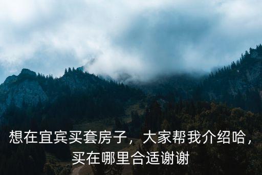 宜賓市南部新區一中在哪里,買在哪里合適