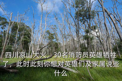 四川涼山大火，30名消防員英雄犧牲了，此時此刻你想對英雄們及家屬說些什么