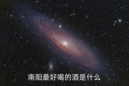 南陽最好喝的酒是什么