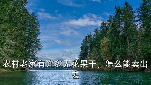 農村老家有許多無花果干，怎么能賣出去