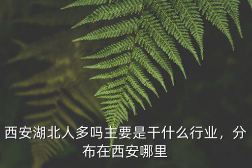 西安湖北人多嗎主要是干什么行業，分布在西安哪里