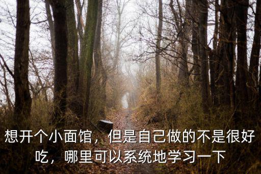 四川擔(dān)擔(dān)面哪里可以學(xué),哪里可以系統(tǒng)地學(xué)習(xí)一下