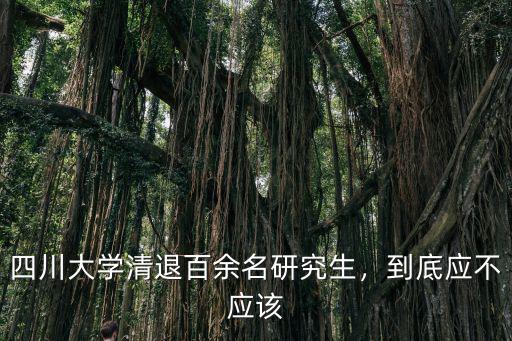 四川大學清退百余名研究生，到底應不應該