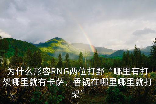 成都rng在哪里打,成都的天府新區在哪里