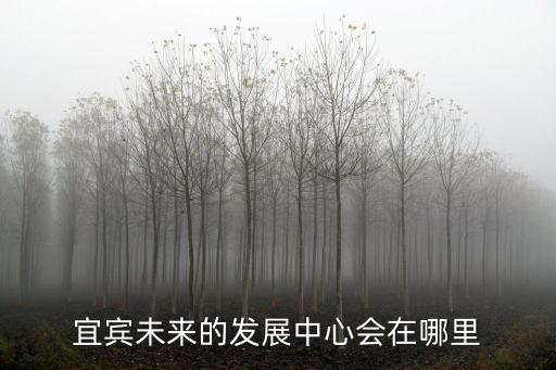 宜賓臨港政務中心地址在哪里,宜賓未來的城市中心在哪里