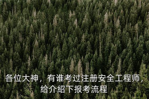 自貢在哪里報考注冊安全工程師,有誰考過注冊安全工程師