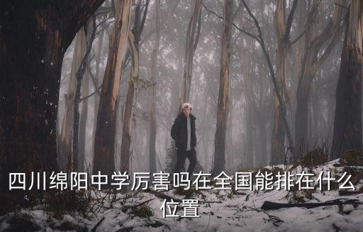 四川綿陽中學(xué)厲害嗎在全國能排在什么位置