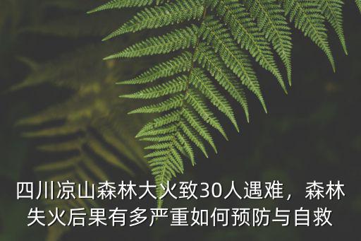 四川哪里森林大火,四川又發生了森林火災