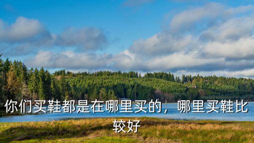 成都限量鞋哪里買,你們買鞋都是在哪里買的