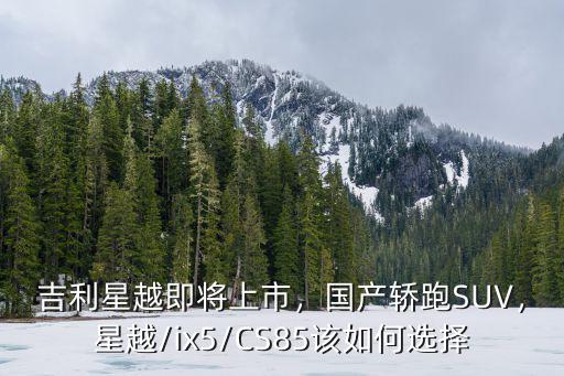 吉利星越在成都哪里買,吉利星越即將上市