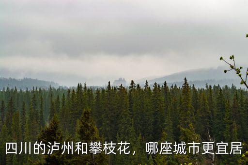 攀枝花的蓮霧在哪里買,你愿意在攀枝花買二手房不