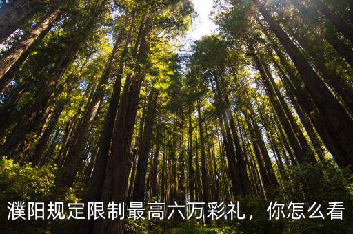 濮陽規定限制最高六萬彩禮，你怎么看