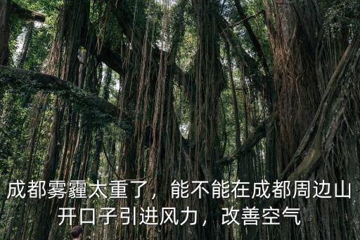 成都霧霾太重了，能不能在成都周邊山開口子引進風力，改善空氣