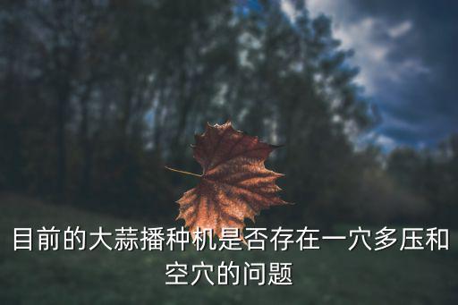在成都哪里有賣大蒜播種機的,有沒有蒜苗的播種機