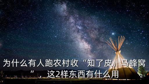 為什么有人跑農村收“知了皮，馬蜂窩”，這2樣東西有什么用