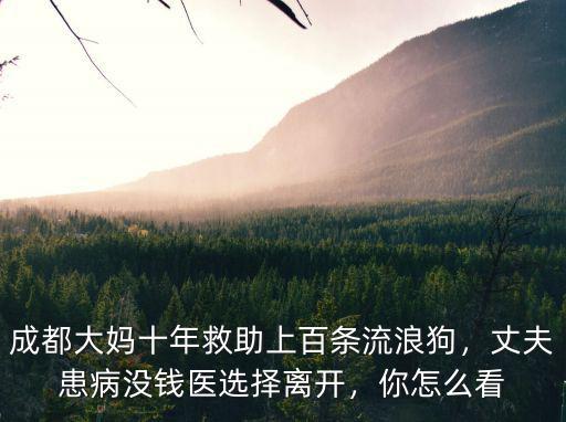 成都流浪狗哪里多啊,成都哪里可以領養寵物