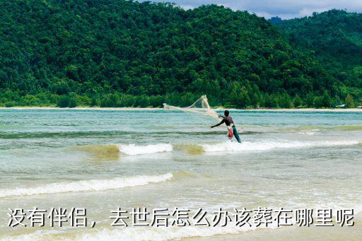 沒有伴侶，去世后怎么辦該葬在哪里呢