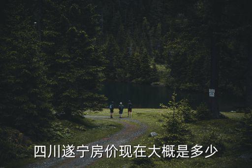 四川遂寧在哪里買房好一點,在遂寧買房好