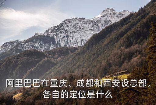 阿里巴巴成都中心在哪里,阿里巴巴在重慶