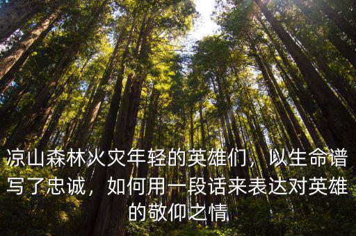 涼山救火英雄都是哪里人,消防員都是救火英雄
