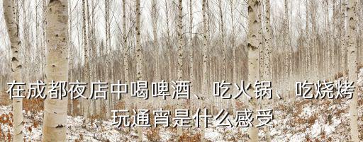 成都那英的酒吧在哪里,成都最好玩的酒吧