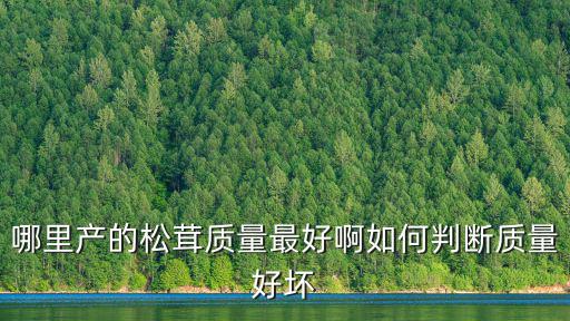 甘孜松茸哪里最好,哪里產(chǎn)的松茸質(zhì)量最好啊