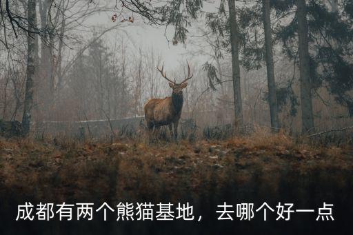 成都有兩個熊貓基地，去哪個好一點