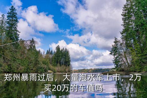 鄭州泡水家電去哪里了,40萬(wàn)輛泡水車(chē)流去哪兒了