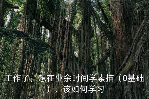 工作了，想在業余時間學素描（0基礎），該如何學習