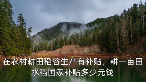 南陽水稻補貼每畝多少錢,南陽市的糧補每畝多少錢
