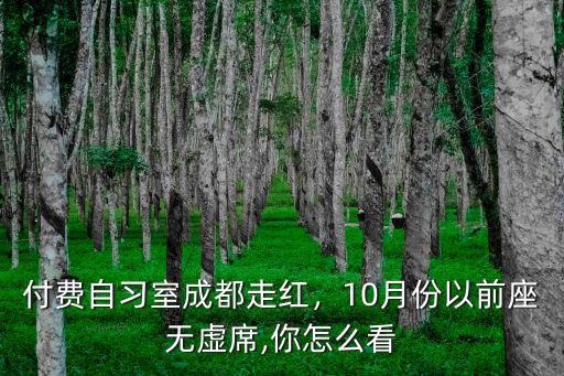 成都自習室哪里最好,成都付費自習室走紅