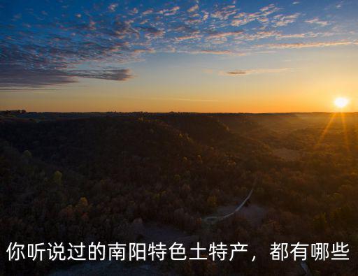 你聽說過的南陽特色土特產，都有哪些