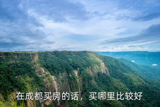 成都s4哪里買比較好,買哪里比較好