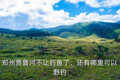 鄭州市賈魯河釣魚去哪里,鄭州賈魯河不讓釣魚了
