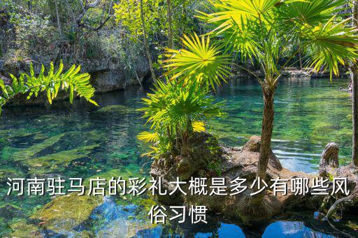 駐馬店定親彩禮多少錢,河南駐馬店的彩禮大概是多少