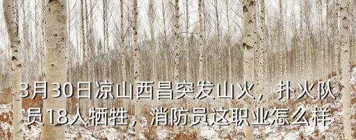 涼山撲火英雄哪里人,給涼山撲火英雄敬禮