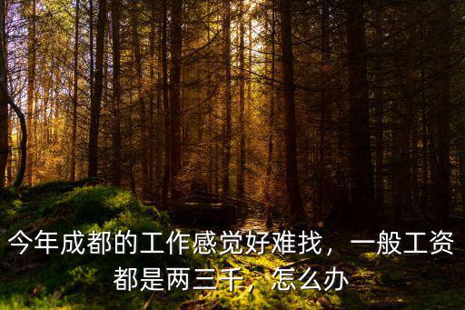 今年成都的工作感覺好難找，一般工資都是兩三千，怎么辦