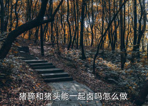 綿陽(yáng)鹵豬蹄哪里學(xué),如何學(xué)做好吃的鹵豬蹄