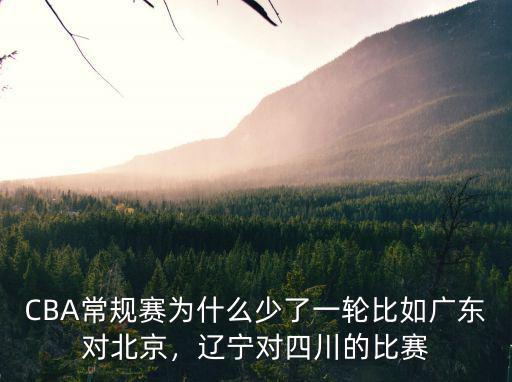 CBA遼寧對(duì)四川在哪里舉行,遼寧對(duì)四川的比賽