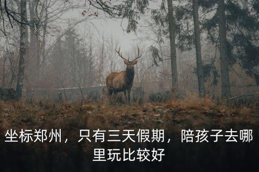 鄭州小年去哪里玩呢,陪孩子去哪里玩比較好