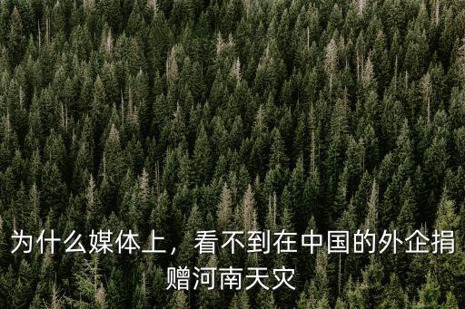 為什么媒體上，看不到在中國的外企捐贈河南天災