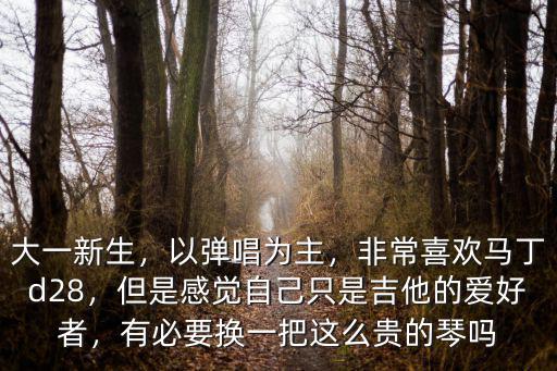 大一新生，以彈唱為主，非常喜歡馬丁d28，但是感覺(jué)自己只是吉他的愛(ài)好者，有必要換一把這么貴的琴嗎