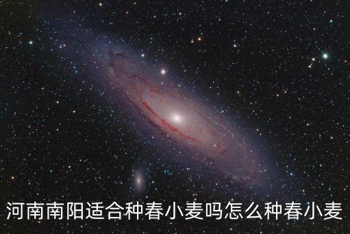 河南哪里種麥苗最好,河南南陽適合種春小麥嗎