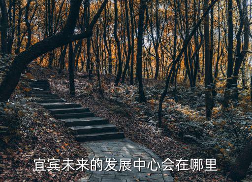 宜賓未來的發展中心會在哪里